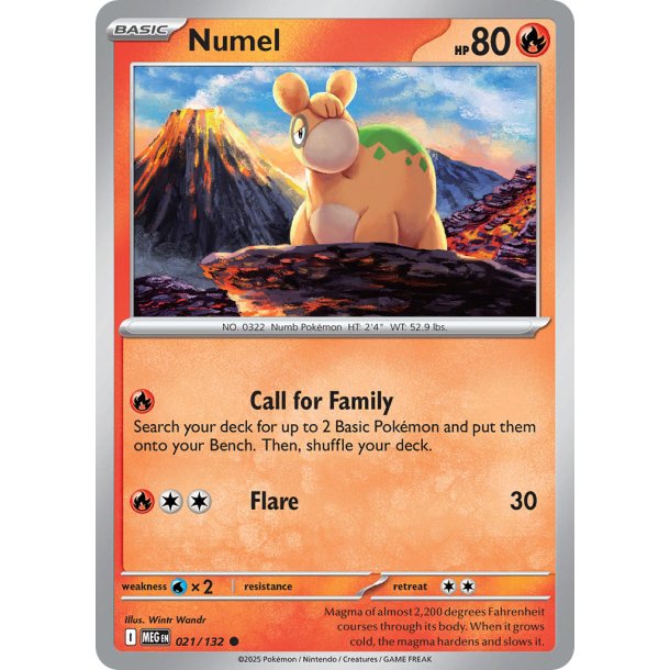 Numel 021/132