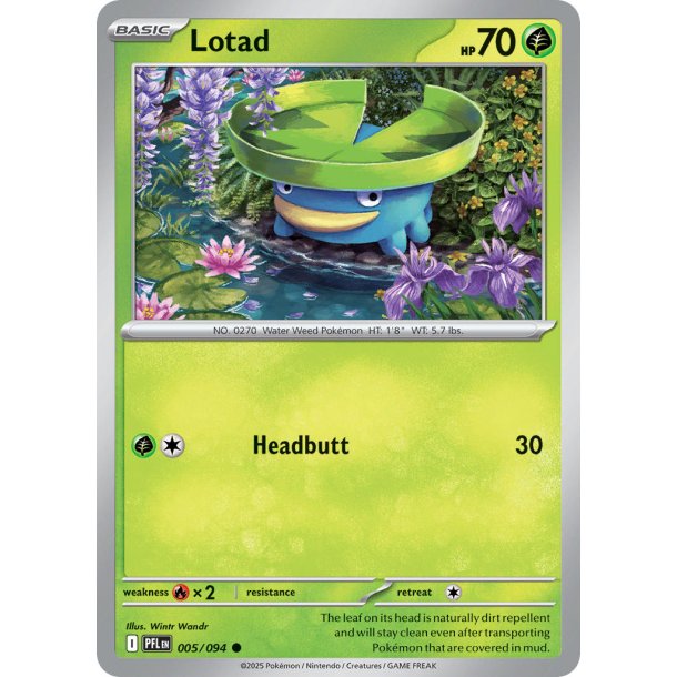 Lotad 005/94