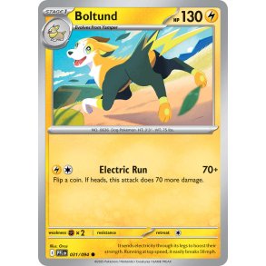 Boltund 031/94